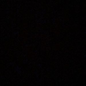 Meet your Posher, Alanis